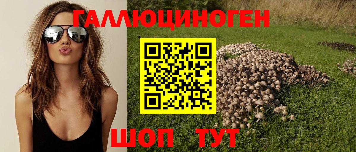 Галлюциногенные грибы Psilocybine cubensis Кизилюрт