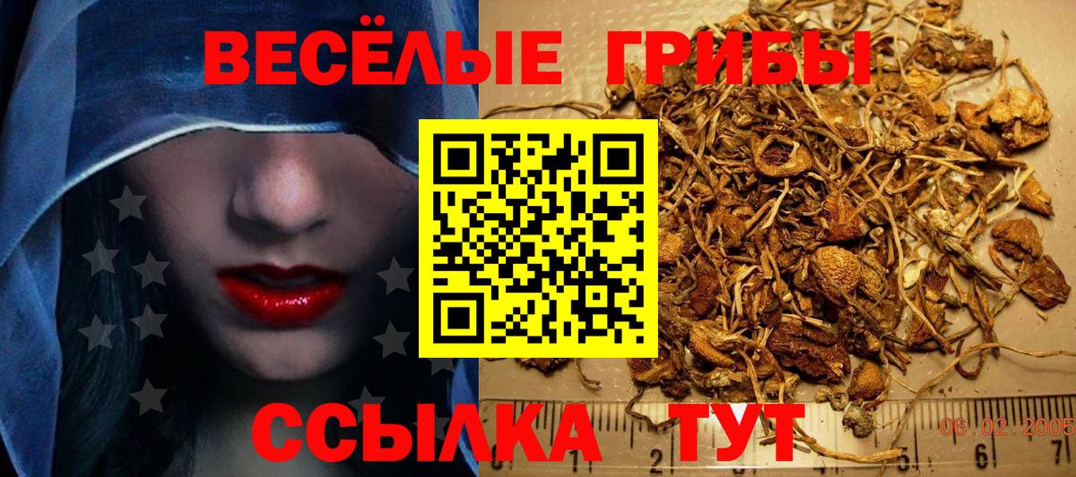 Кизилюрт  Псилоцибиновые грибы прущие грибы  Вход с VPN 