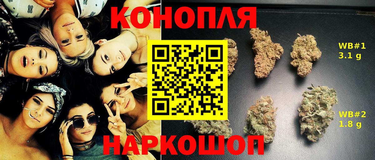 Бошки Шишки тримм  Вход с VPN  МАРИХУАНА сатива  Бошки Шишки семена  Кизилюрт 